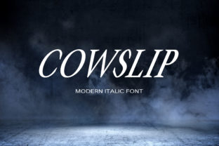 Cowslip Display Font for Modern Web Design