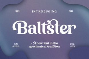 Elevate Your Brand Identity with the Baltster Typeface