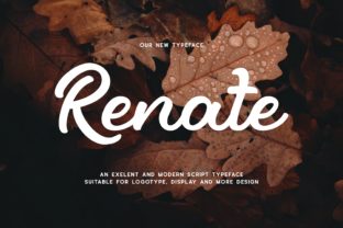 Renate: A Bold Display Font for Editorial Impact