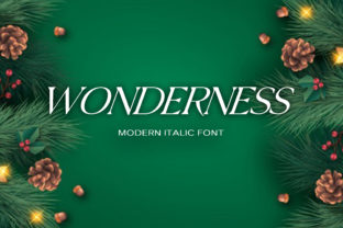Wonderness: A Simple Display Font for Elegant Campaigns